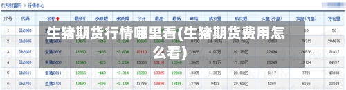 生猪期货行情哪里看(生猪期货费用怎么看)