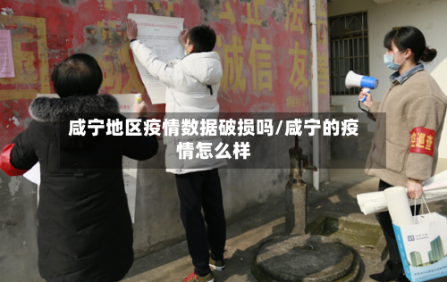 咸宁地区疫情数据破损吗/咸宁的疫情怎么样-第2张图片
