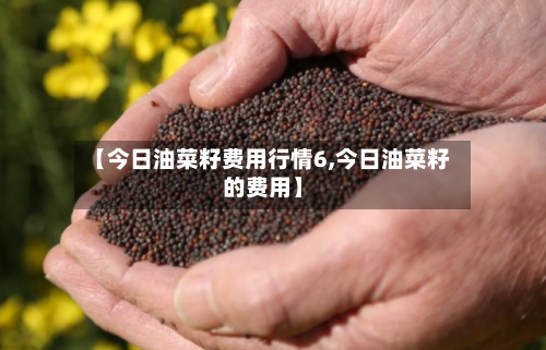 【今日油菜籽费用行情6,今日油菜籽的费用】-第2张图片