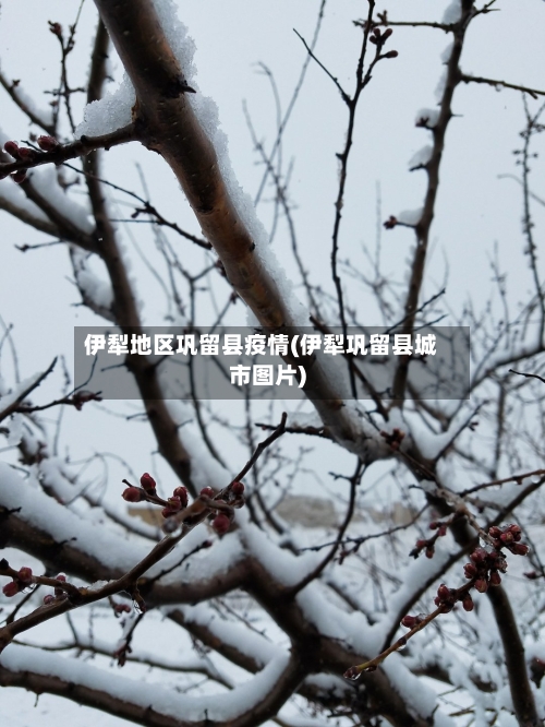 伊犁地区巩留县疫情(伊犁巩留县城市图片)-第3张图片