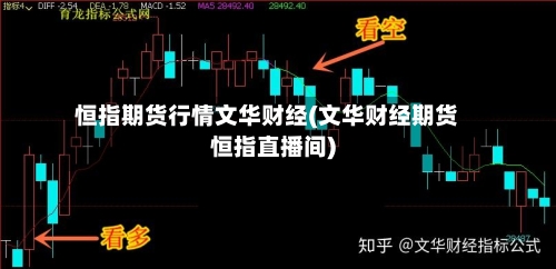 恒指期货行情文华财经(文华财经期货恒指直播间)-第2张图片