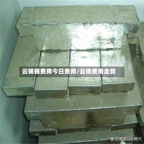 云锡锡费用今日费用/云锡费用走势-第2张图片