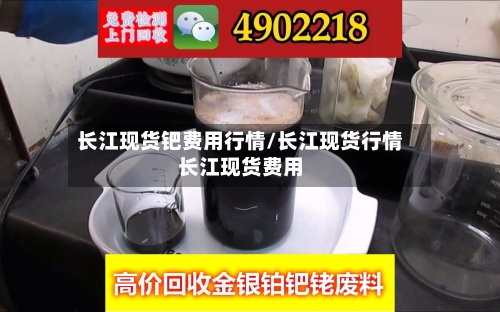 长江现货钯费用行情/长江现货行情长江现货费用-第2张图片