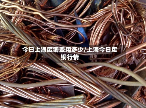 今日上海废铜费用多少/上海今日废铜行情-第3张图片
