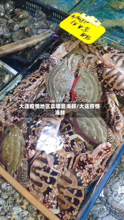 大连疫情地区卖哪些海鲜/大连疫情 海鲜