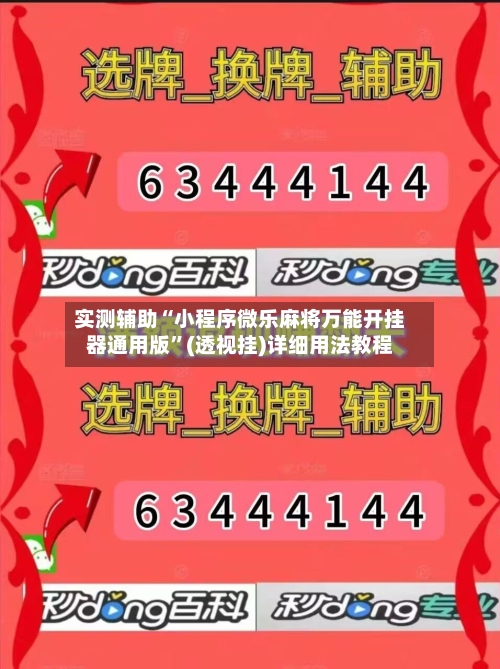 实测辅助“小程序微乐麻将万能开挂器通用版”(透视挂)详细用法教程-第2张图片