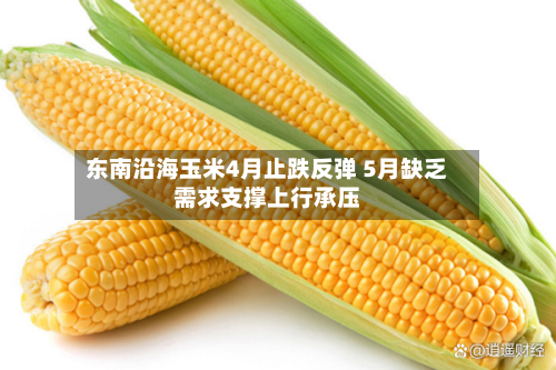 东南沿海玉米4月止跌反弹 5月缺乏需求支撑上行承压