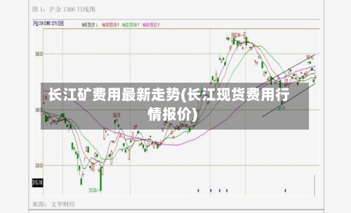 长江矿费用最新走势(长江现货费用行情报价)