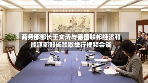 商务部部长王文涛与德国联邦经济和能源部部长赖歇举行视频会谈