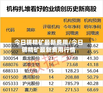 今日锡精矿最新费用/今日锡精矿最新费用行情-第2张图片