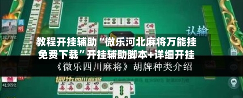 教程开挂辅助“微乐河北麻将万能挂免费下载”开挂辅助脚本+详细开挂-第3张图片