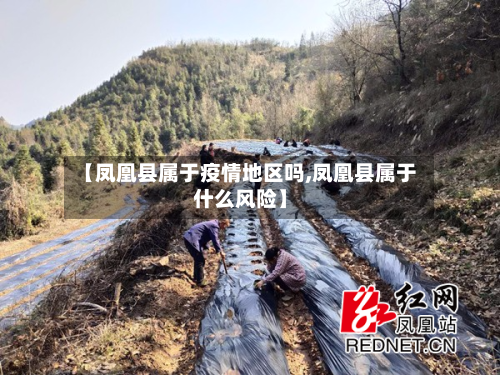 【凤凰县属于疫情地区吗,凤凰县属于什么风险】