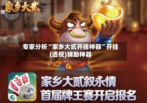 专家分析“家乡大贰开挂神器”开挂(透视)辅助神器