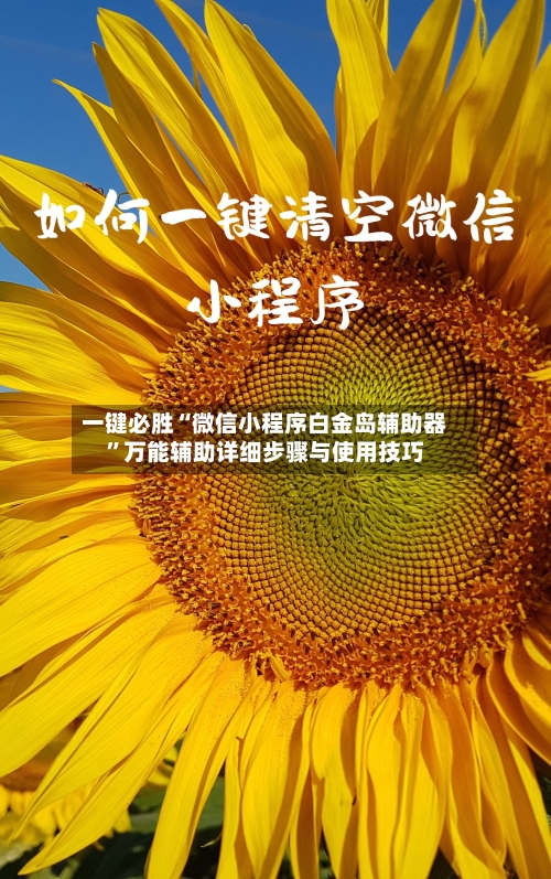 一键必胜“微信小程序白金岛辅助器”万能辅助详细步骤与使用技巧