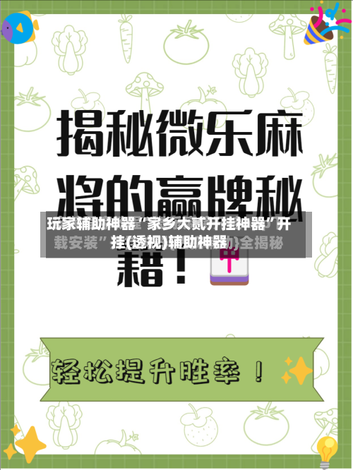 玩家辅助神器“家乡大贰开挂神器”开挂(透视)辅助神器