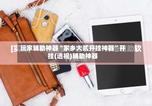 玩家辅助神器“家乡大贰开挂神器	”开挂(透视)辅助神器-第3张图片