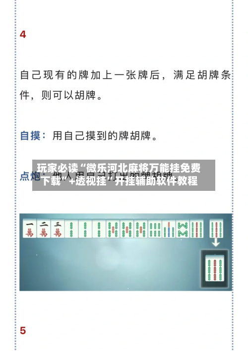 玩家必读“微乐河北麻将万能挂免费下载”+透视挂”开挂辅助软件教程-第2张图片