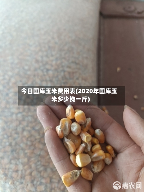 今日国库玉米费用表(2020年国库玉米多少钱一斤)