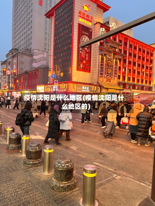 疫情沈阳是什么地区(疫情沈阳是什么地区的)