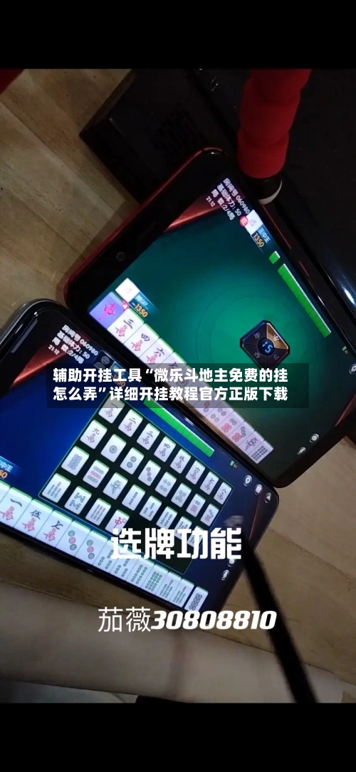 辅助开挂工具“微乐斗地主免费的挂怎么弄”详细开挂教程官方正版下载-第2张图片