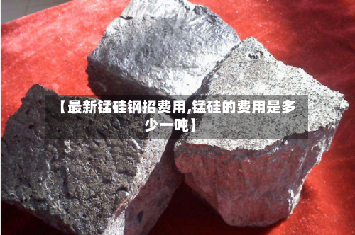 【最新锰硅钢招费用,锰硅的费用是多少一吨】-第2张图片
