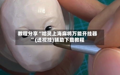 教程分享“哈灵上海麻将万能开挂器”(透视挂)辅助下载教程