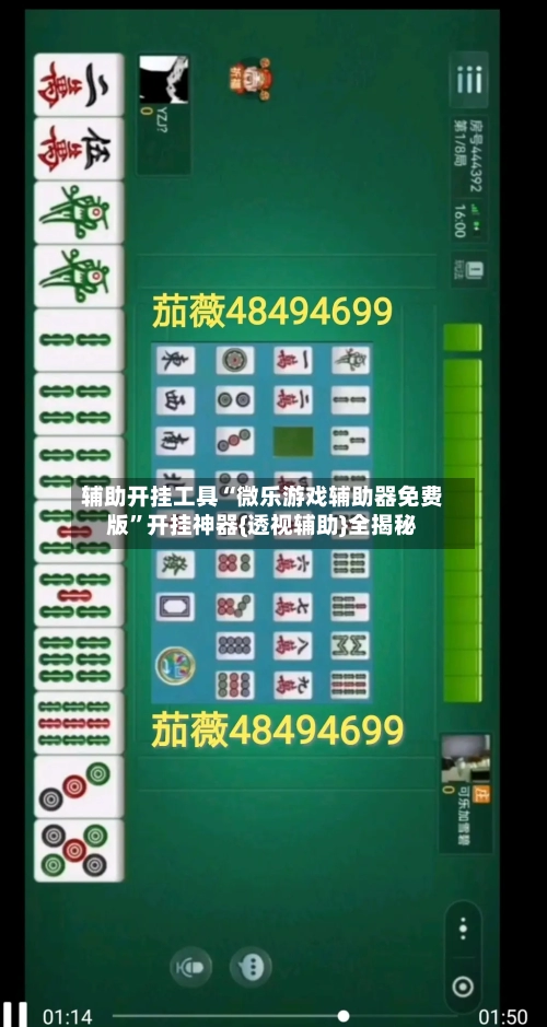 辅助开挂工具“微乐游戏辅助器免费版”开挂神器{透视辅助}全揭秘