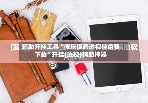 辅助开挂工具“微乐捉鸡透视挂免费下载”开挂(透视)辅助神器-第2张图片