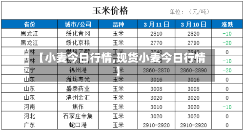 【小麦今日行情,现货小麦今日行情】