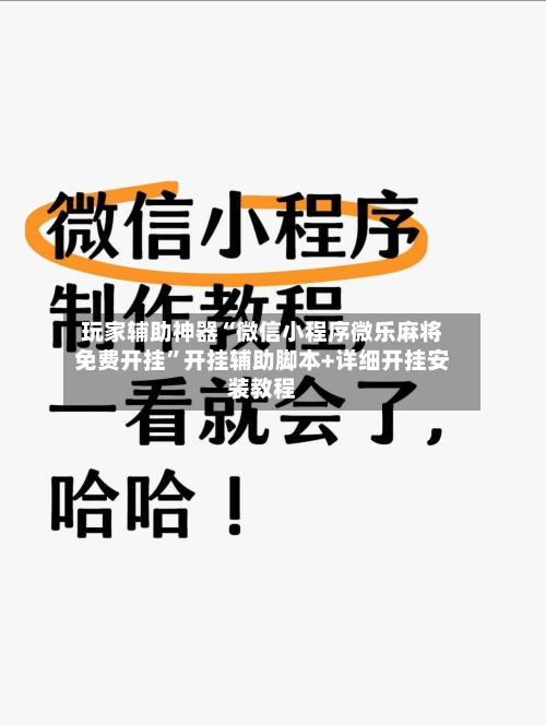 玩家辅助神器“微信小程序微乐麻将免费开挂	”开挂辅助脚本+详细开挂安装教程-第2张图片