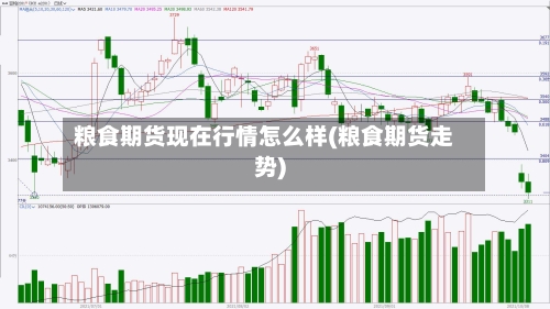 粮食期货现在行情怎么样(粮食期货走势)-第2张图片