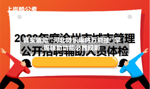 真实辅助“河北微乐麻将万能挂”掌握辅助功能必胜规则