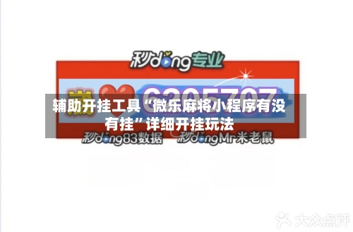 辅助开挂工具“微乐麻将小程序有没有挂”详细开挂玩法-第3张图片