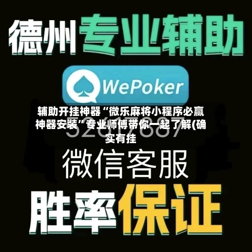辅助开挂神器“微乐麻将小程序必赢神器安装”专业师傅带你一起了解(确实有挂-第3张图片