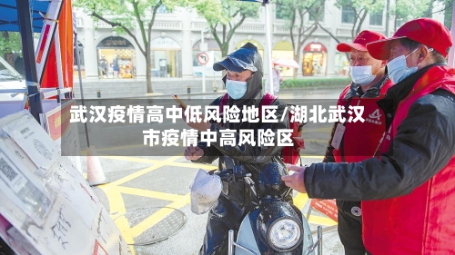 武汉疫情高中低风险地区/湖北武汉市疫情中高风险区