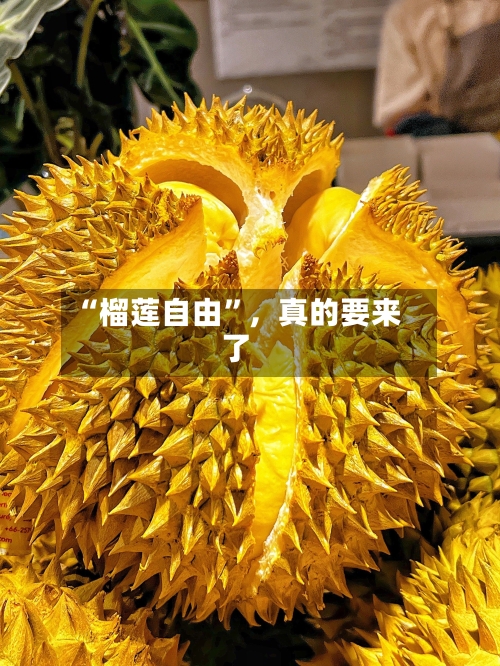 “榴莲自由”，真的要来了