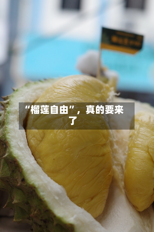 “榴莲自由”，真的要来了-第2张图片