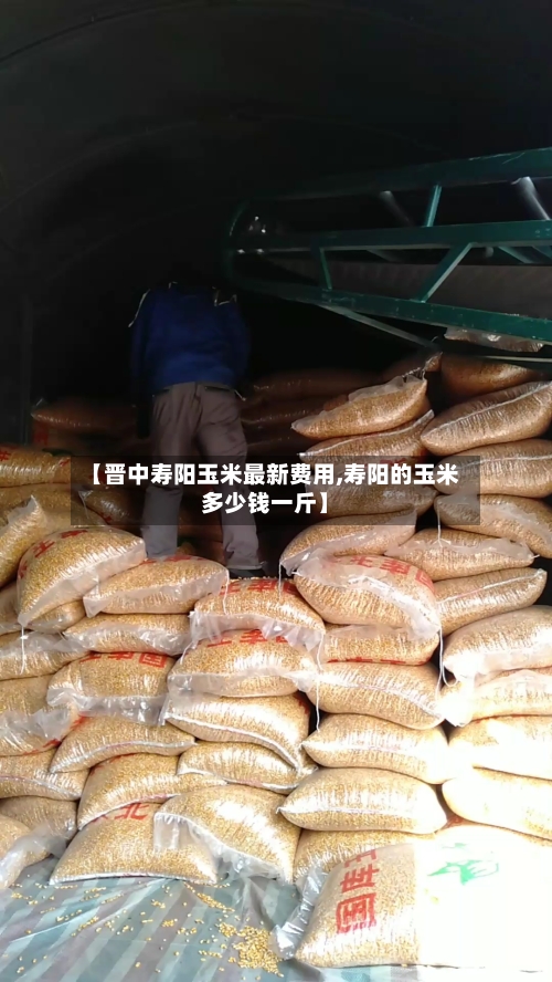 【晋中寿阳玉米最新费用,寿阳的玉米多少钱一斤】-第2张图片