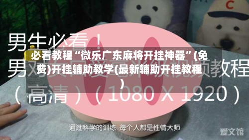必看教程“微乐广东麻将开挂神器”(免费)开挂辅助教学(最新辅助开挂教程)-第3张图片