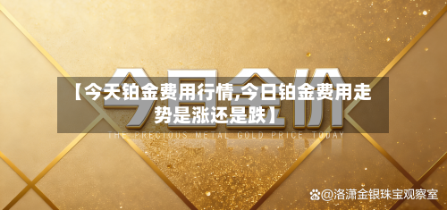 【今天铂金费用行情,今日铂金费用走势是涨还是跌】-第2张图片