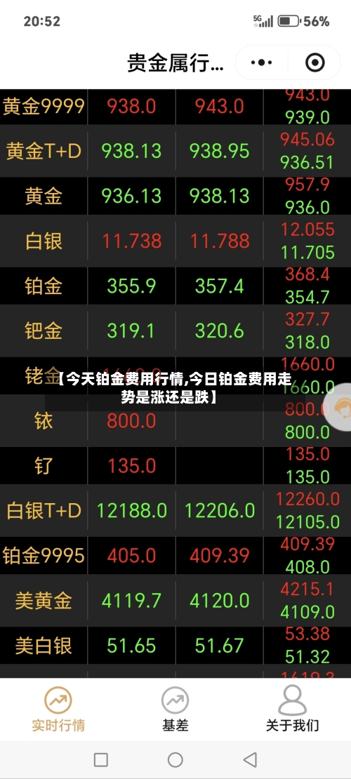 【今天铂金费用行情,今日铂金费用走势是涨还是跌】-第3张图片