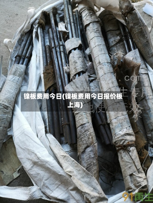 镍板费用今日(镍板费用今日报价板上海)