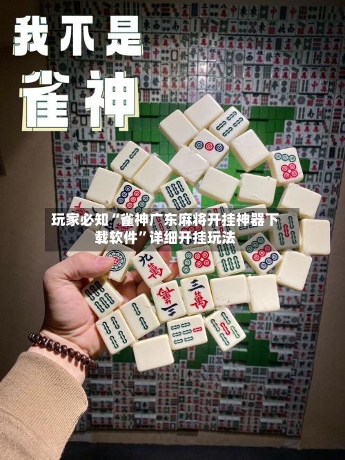 玩家必知“雀神广东麻将开挂神器下载软件”详细开挂玩法-第3张图片