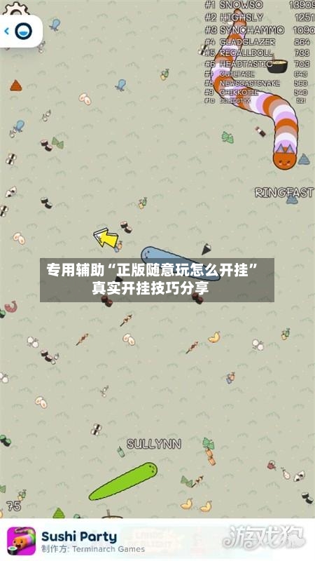 专用辅助“正版随意玩怎么开挂”真实开挂技巧分享-第2张图片