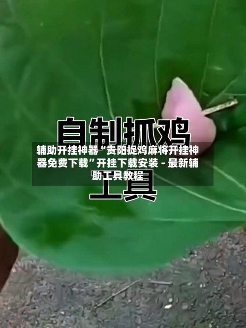 辅助开挂神器“贵阳捉鸡麻将开挂神器免费下载	”开挂下载安装 - 最新辅助工具教程-第2张图片