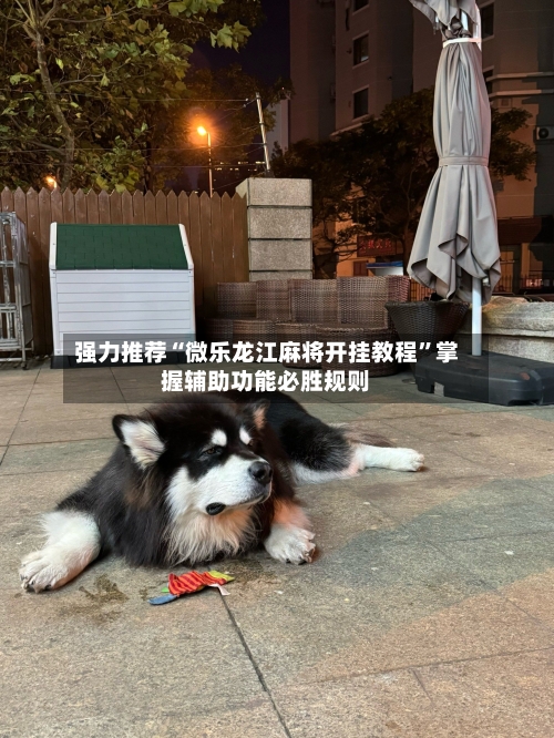 强力推荐“微乐龙江麻将开挂教程”掌握辅助功能必胜规则-第2张图片