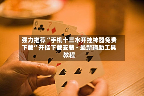 强力推荐“手机十三水开挂神器免费下载”开挂下载安装 - 最新辅助工具教程-第2张图片