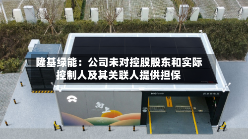 隆基绿能:公司未对控股股东和实际控制人及其关联人提供担保-第3张图片