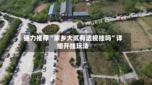 强力推荐“家乡大贰有透视挂吗”详细开挂玩法-第2张图片