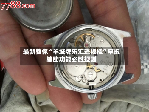 最新教你“羊城牌乐汇透视挂	”掌握辅助功能必胜规则-第2张图片